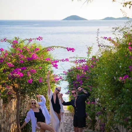 Beachfront White With Private Swimming Pool *